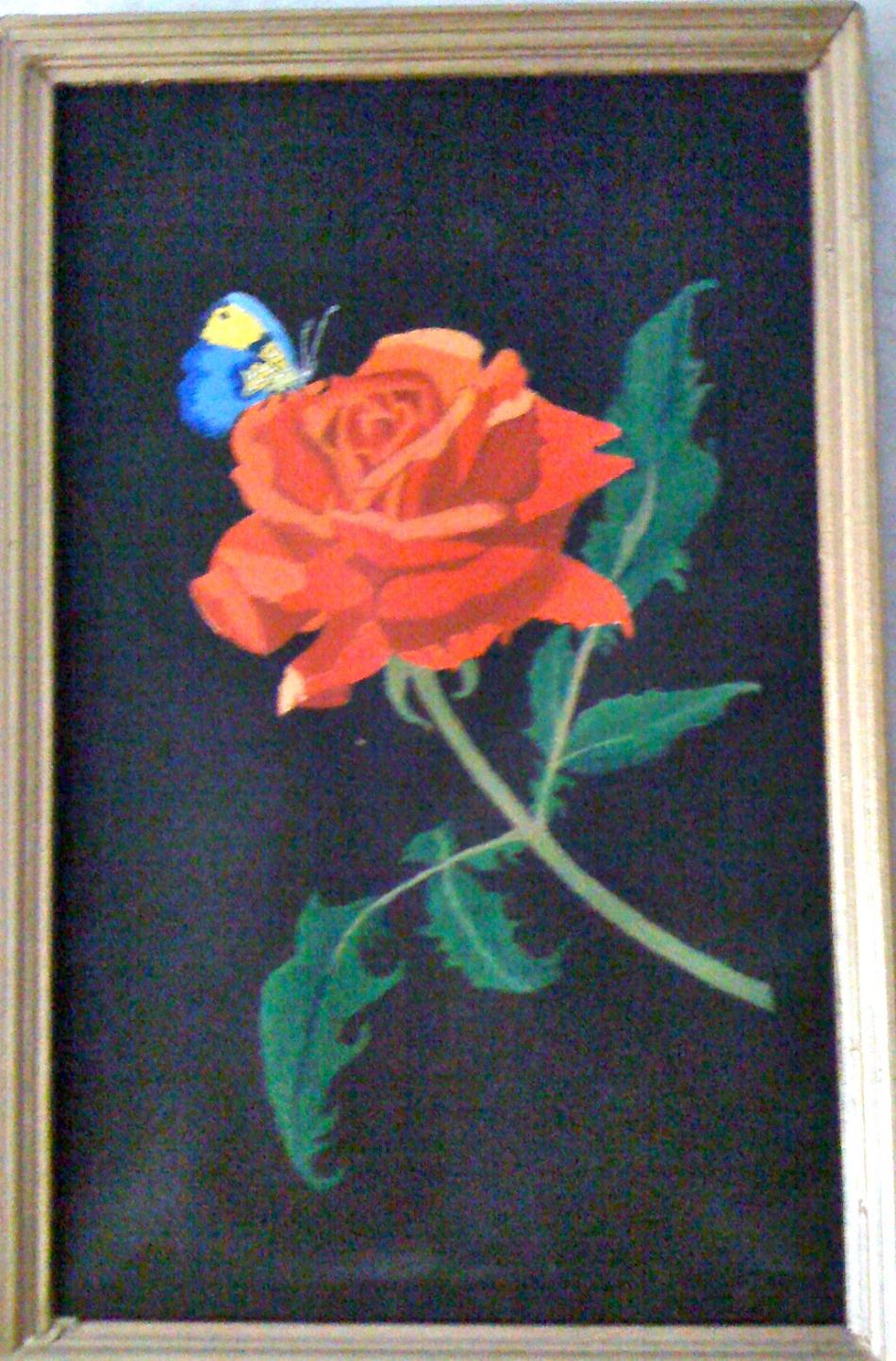 Rosa von Yklausmann Rosa