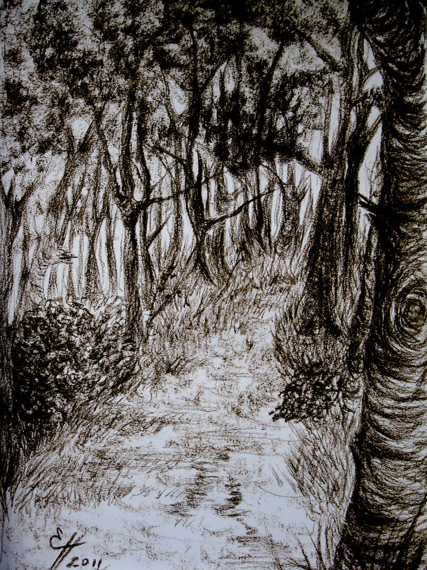 Forest track von Forest track