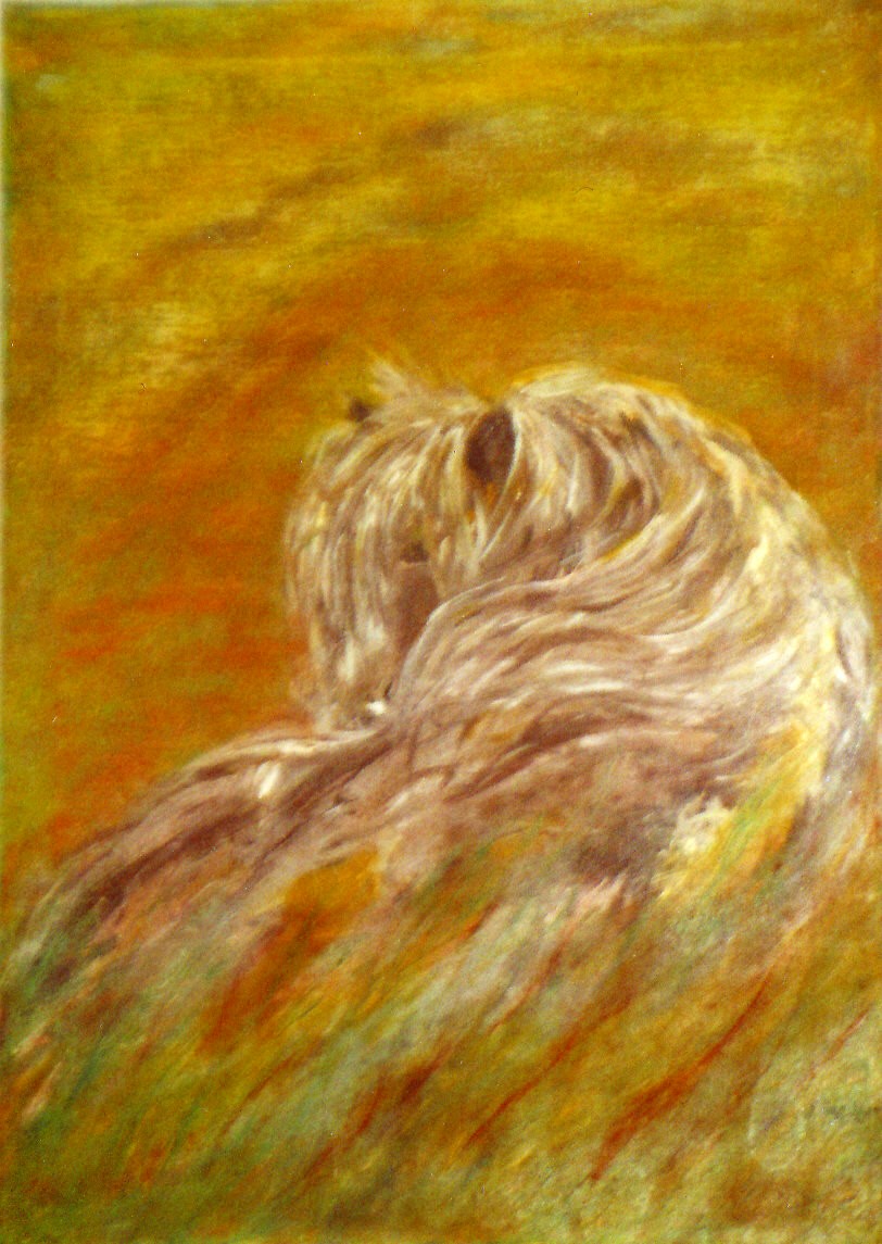 Isländer von Petra Hayn-Knapp Isländer