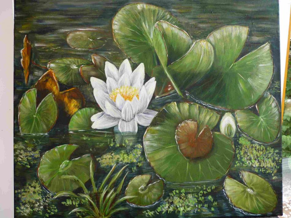 Seerose von ufa Seerose