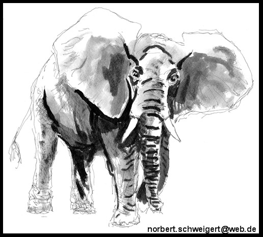 Tuschebild Elefant von Tuschebild Elefant