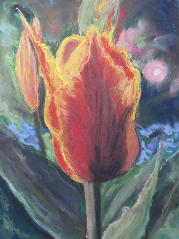 Tulpen von PeGeArt Tulpen