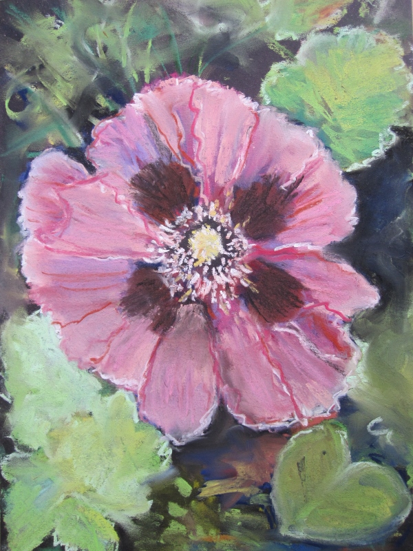 Mohnblume von PeGeArt Mohnblume