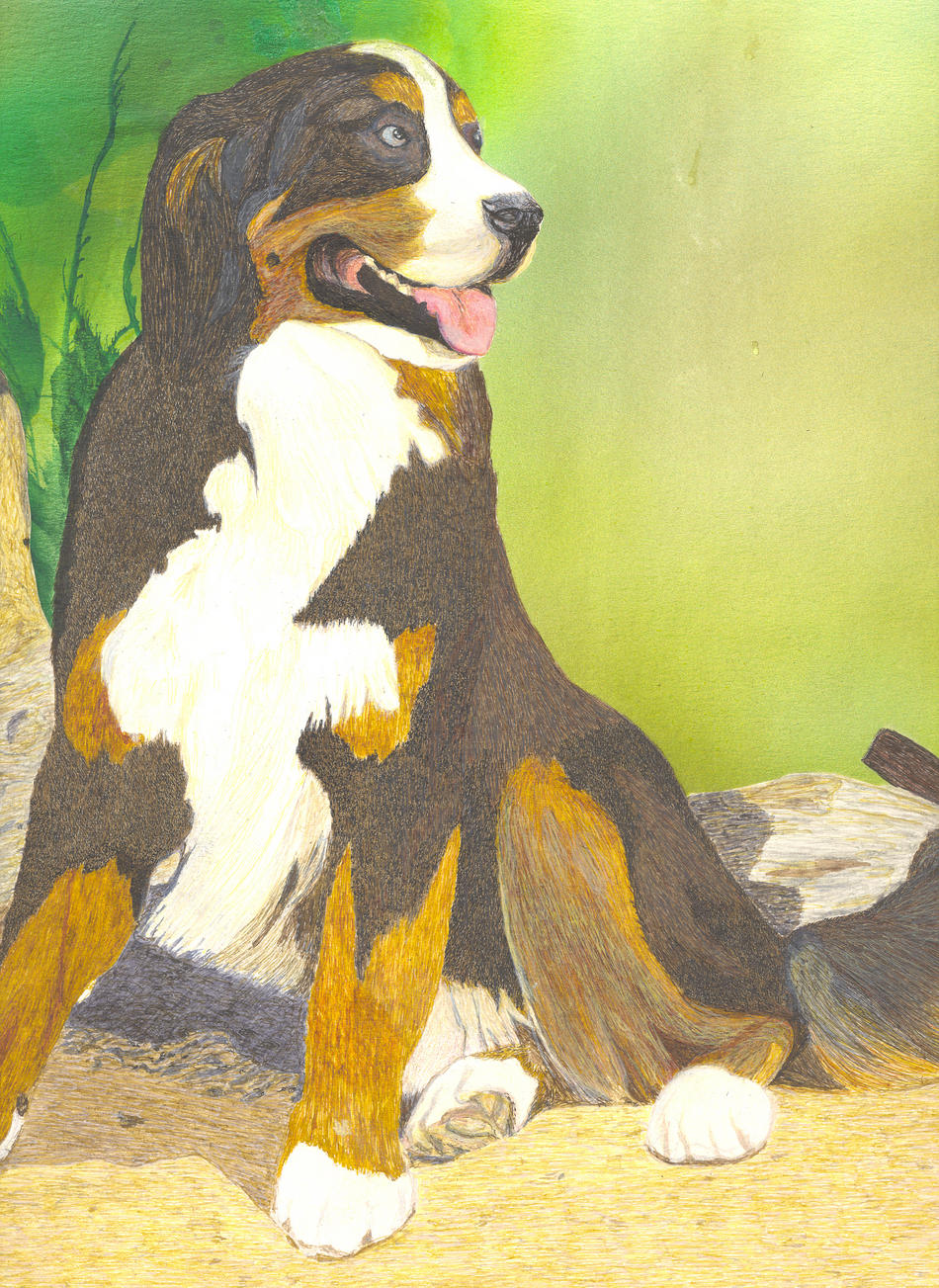 Willi von hp. Willi