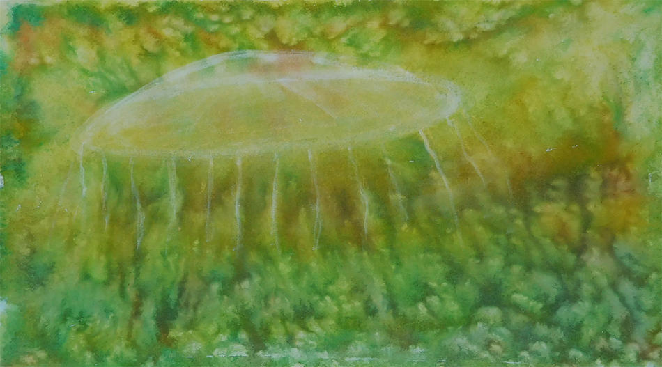 Ufo? von Ufo?