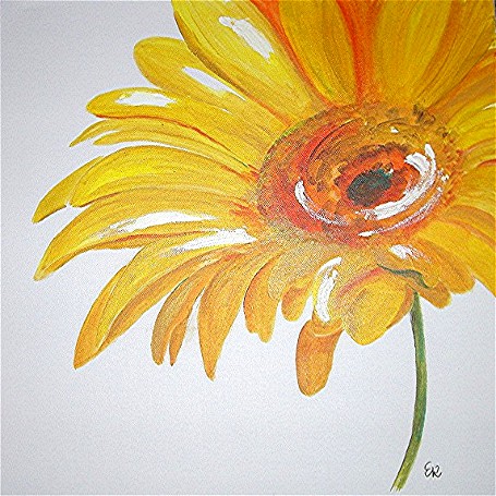 Gerbera von ERottler Gerbera