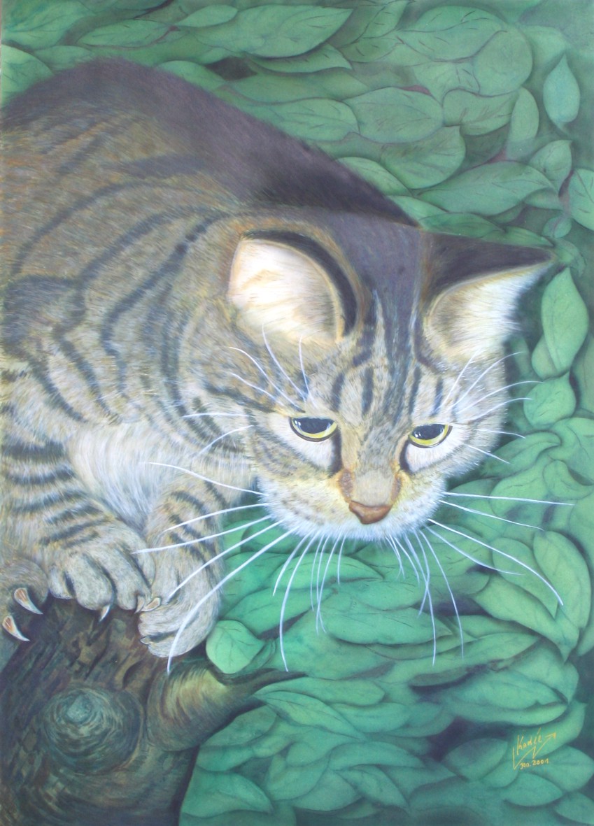 Katze Katze