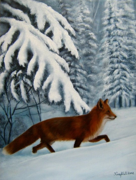 Fuchs im Schnee von kraftili Fuchs im Schnee
