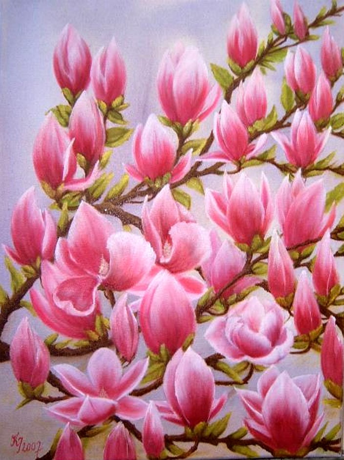 Mein Magnolienbaum von kraftili Mein Magnolienbaum