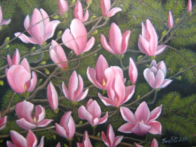 Magnolien von kraftili Magnolien