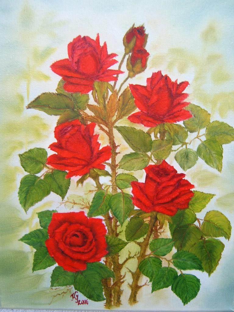 Rote Rosen von kraftili Rote Rosen