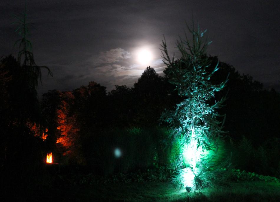 Licht im Park von KMK Licht im Park