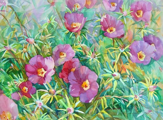 Cosmos von Elena Cosmos