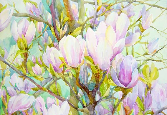 Magnolien von Elena Magnolien