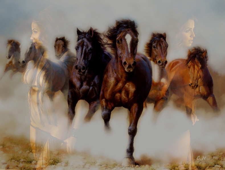 Girl with horses von Girl with horses