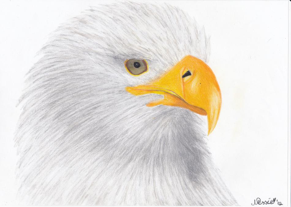 Eagle von Nessie Eagle