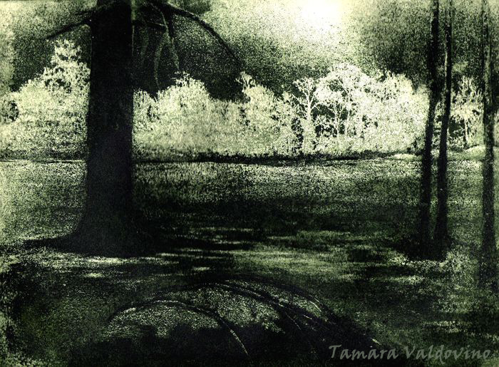 Silence in the forest II von Tamara Valdovino Silence in the forest II