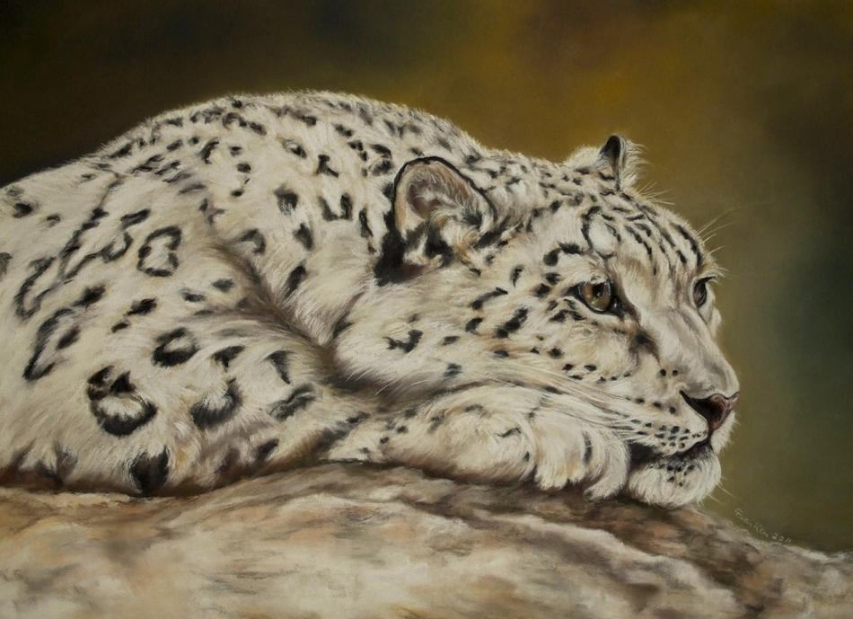 Schneeleopard von Frenken-Art Schneeleopard