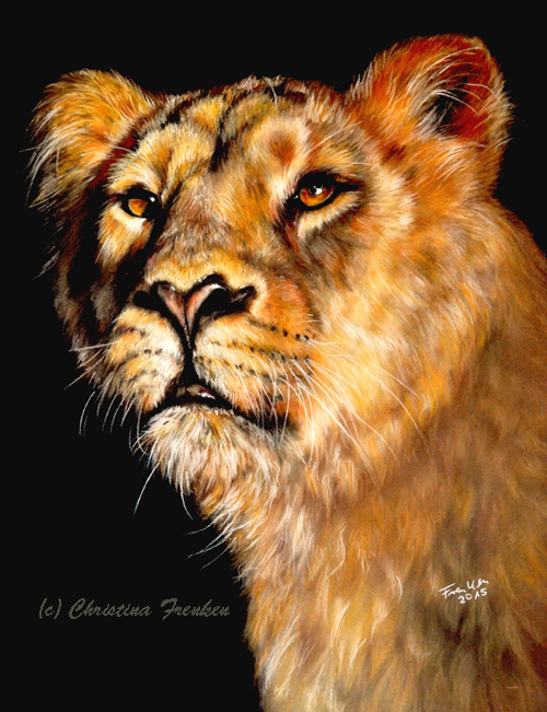 Golden Lioness von Frenken-Art Golden Lioness