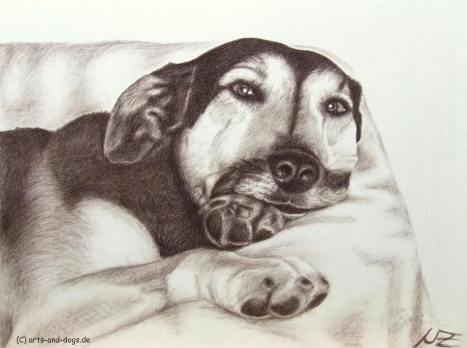 Dogs Eyes III von Dogs Eyes III