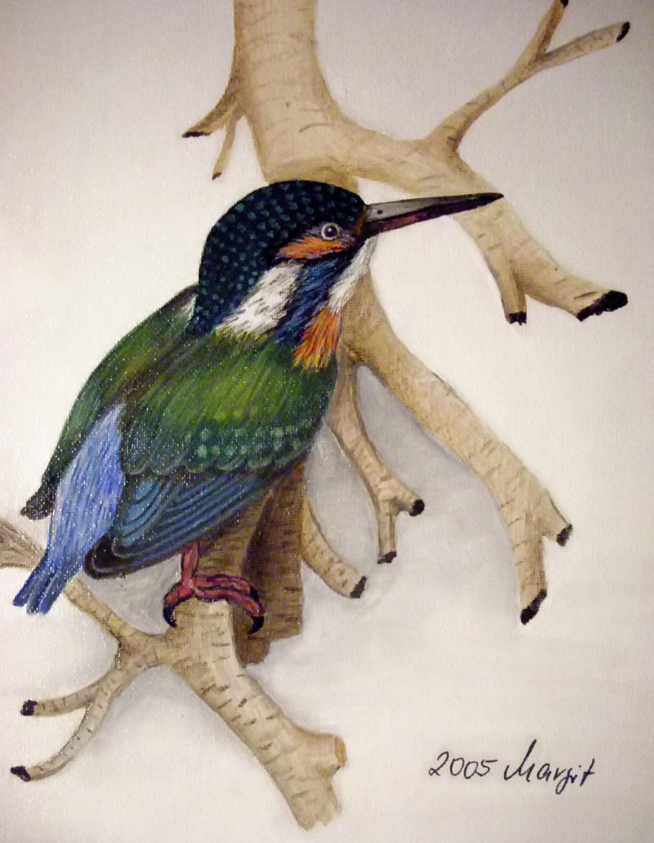 Eisvogel von Margit Eisvogel