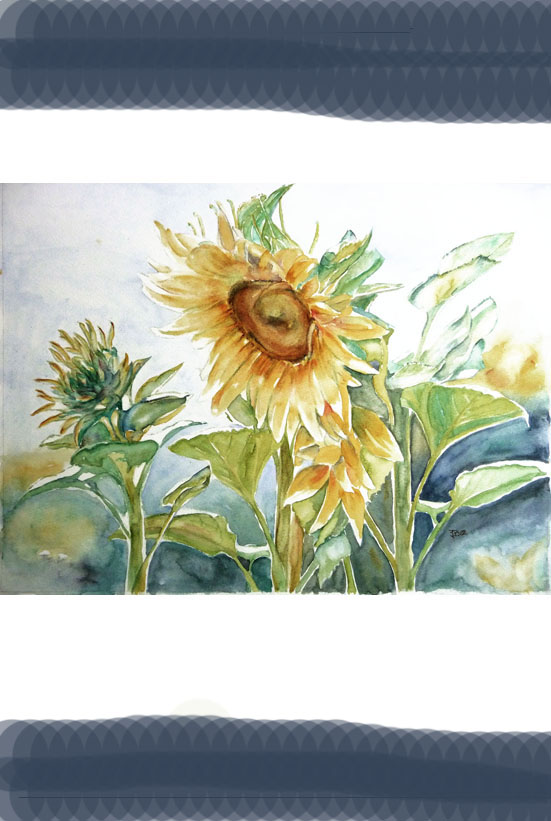 Sonne von Sonne