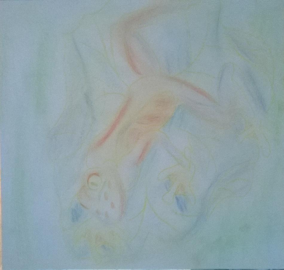 Frosch in Pastell von Nina Frosch in Pastell