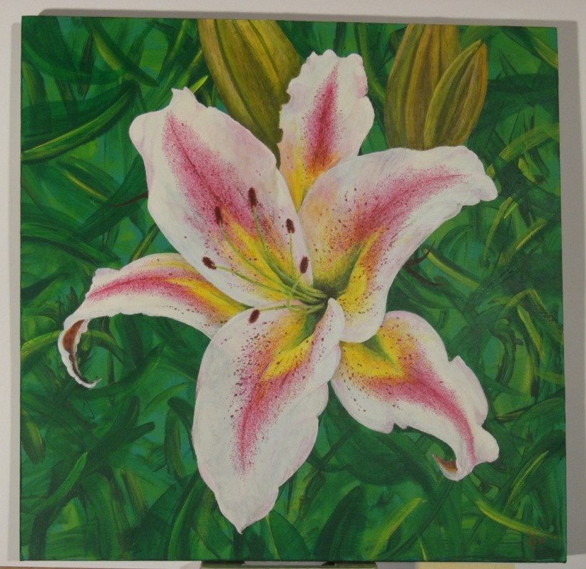 Ritterblume (Lilie) von Chromosoph Ritterblume (Lilie)