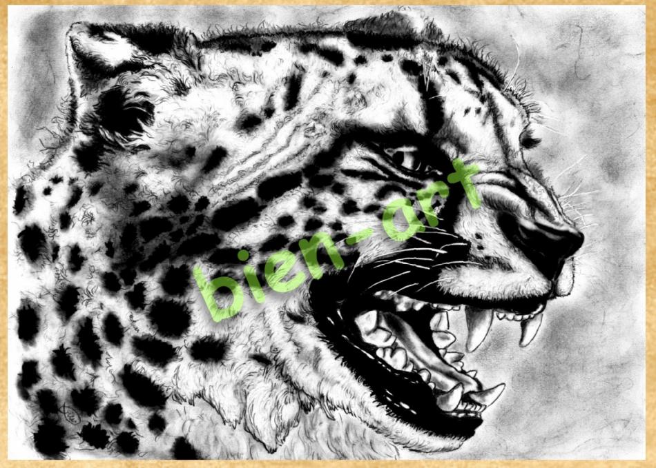 biens Afrika Gepard von Rea bien biens Afrika Gepard