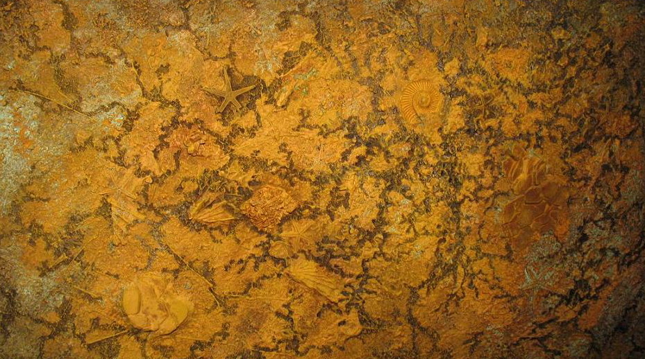 Gondwana von RichArt Gondwana