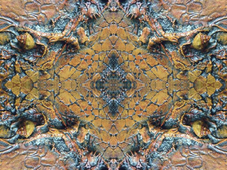 Kaleido von RichArt Kaleido
