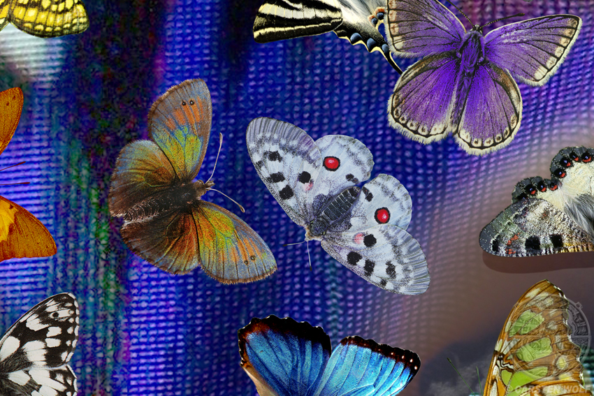 Detail aus Der Junge von Detail aus Der Junge