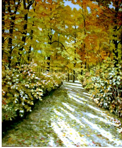 Herbstsonne im Pfälzer Wald von GH Herbstsonne im Pfälzer Wald