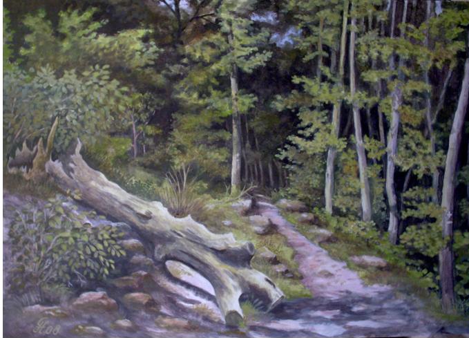 Wanderweg im Pfälzer Wald von GH Wanderweg im Pfälzer Wald