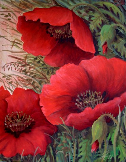 Klatschmohn von GH Klatschmohn