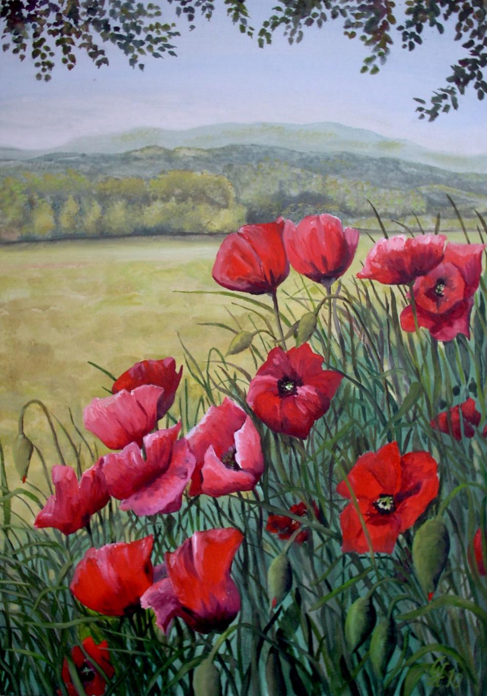Klatschmohn am Wegrand von GH Klatschmohn am Wegrand