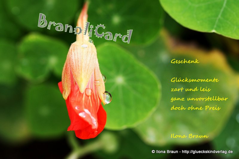 025 Glücksmomente von branoli 025 Glücksmomente