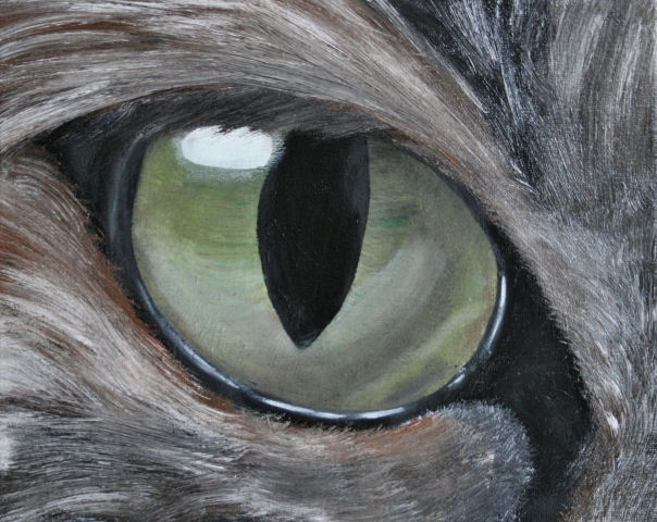 0022 Katzenauge-SB08-24x30 von Black Luna 0022 Katzenauge-SB08-24x30