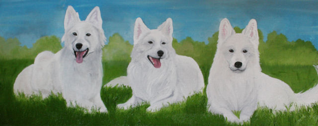 0030 Trio-SB08-20x50 von Black Luna 0030 Trio-SB08-20x50