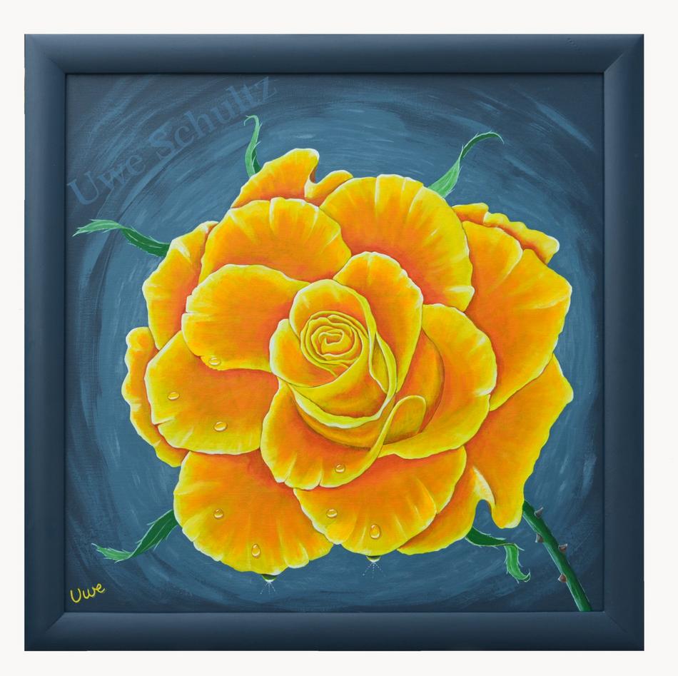 Rose von Uwe Rose