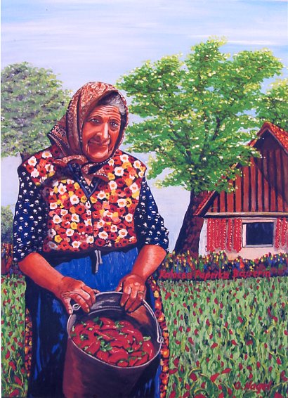 Paprika Bäuerin in Ungarn von natoti Paprika Bäuerin in Ungarn