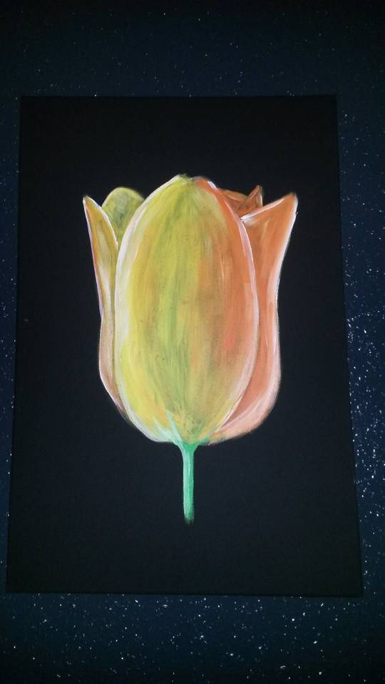 Tulpe von Chrissi Tulpe