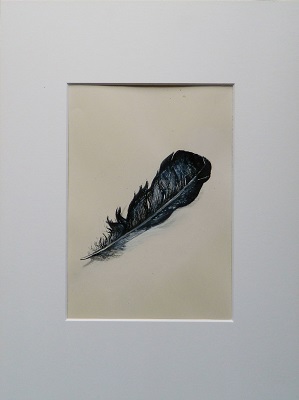 Krähenfeder von Michael Haack Krähenfeder
