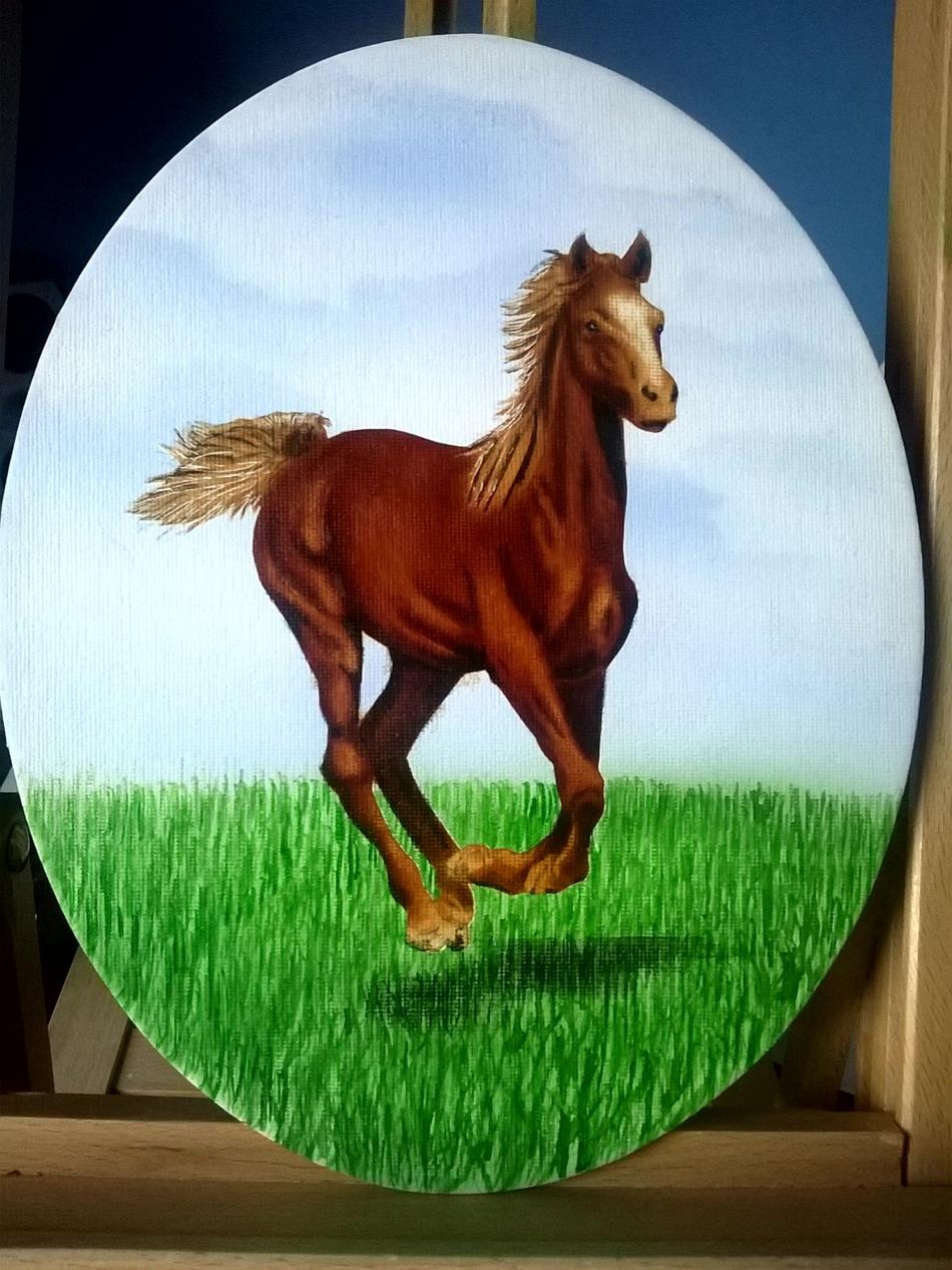 Fohlen, Airbrush, Juni 2016.jpg von Fohlen, Airbrush, Juni 2016.jpg