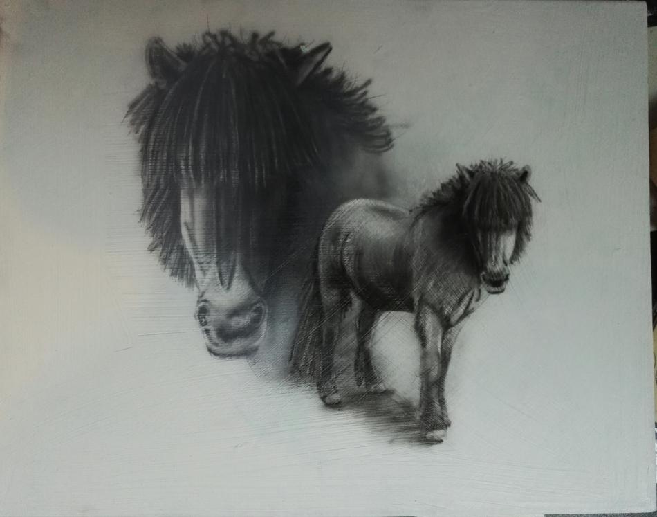 Isländer von airbrushportraits Isländer