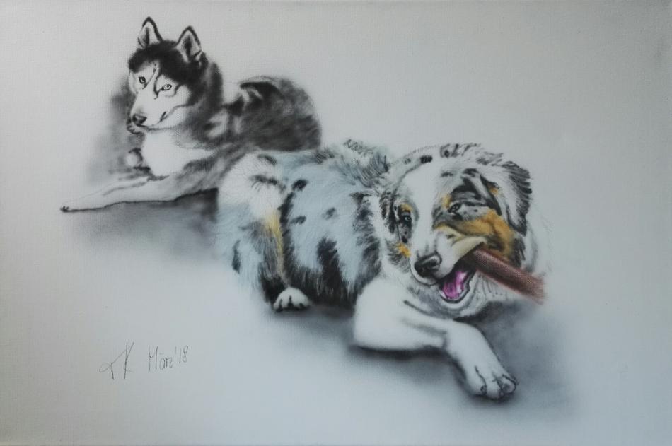 Hundeporträt von airbrushportraits Hundeporträt