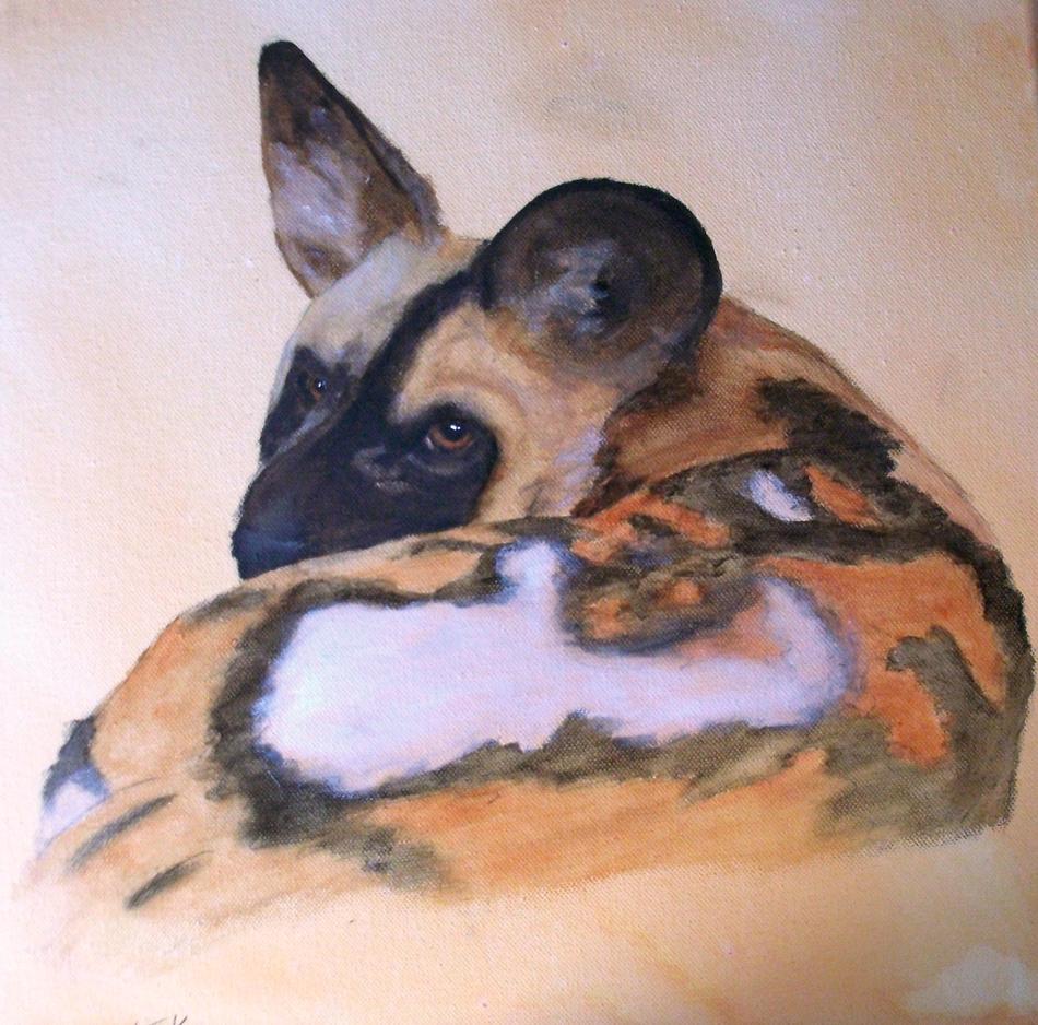 afr.WildhundlSep2013.jpg von afr.WildhundlSep2013.jpg