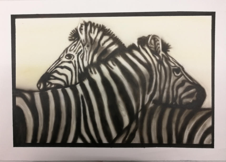 Zebras von Zebras