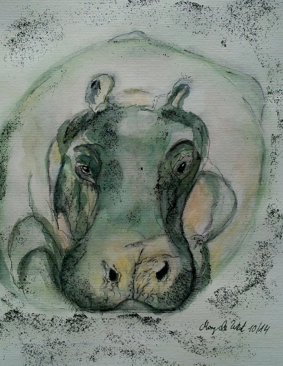 Hippo (Motiv:Meyer-Garsters) von Hippo (Motiv:Meyer-Garsters)