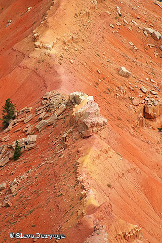 The Beauty of Decay (Cedar Breaks, USA) von The Beauty of Decay (Cedar Breaks, USA)